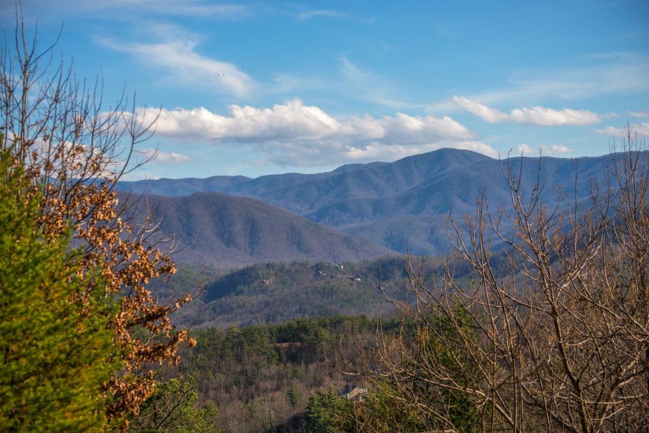 Papaw'S Bear Den Villa Pigeon Forge Eksteriør billede